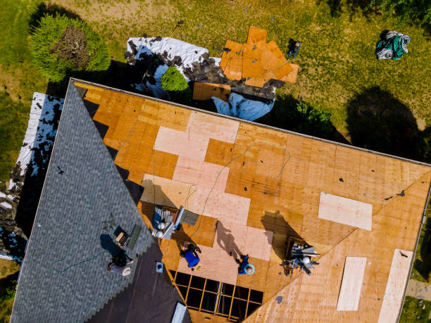 Best Flat Roof Repair Services  in Sauk Vlage, IL