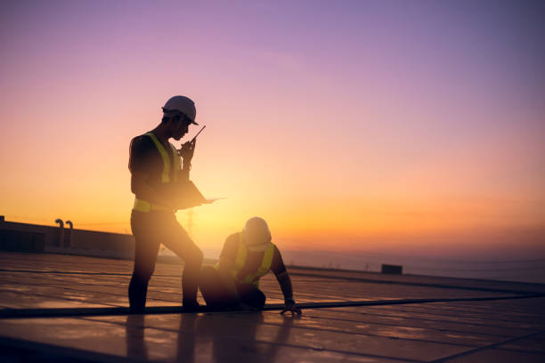 Roof Gutter Cleaning in Sauk Village, IL